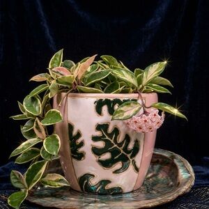 Pink Monstera Leaf Ceramic Planter - 6" Barrel Plant Pot with Drainage
